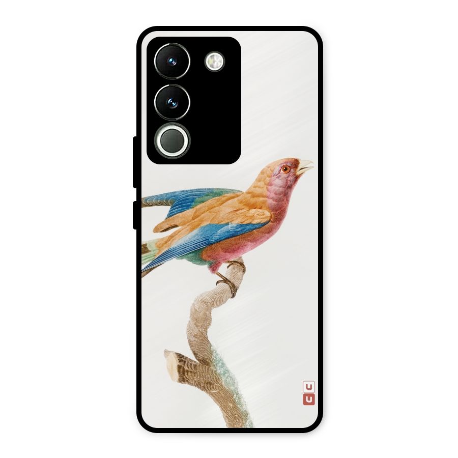 Beautiful Bird Metal Back Case for Vivo Y200