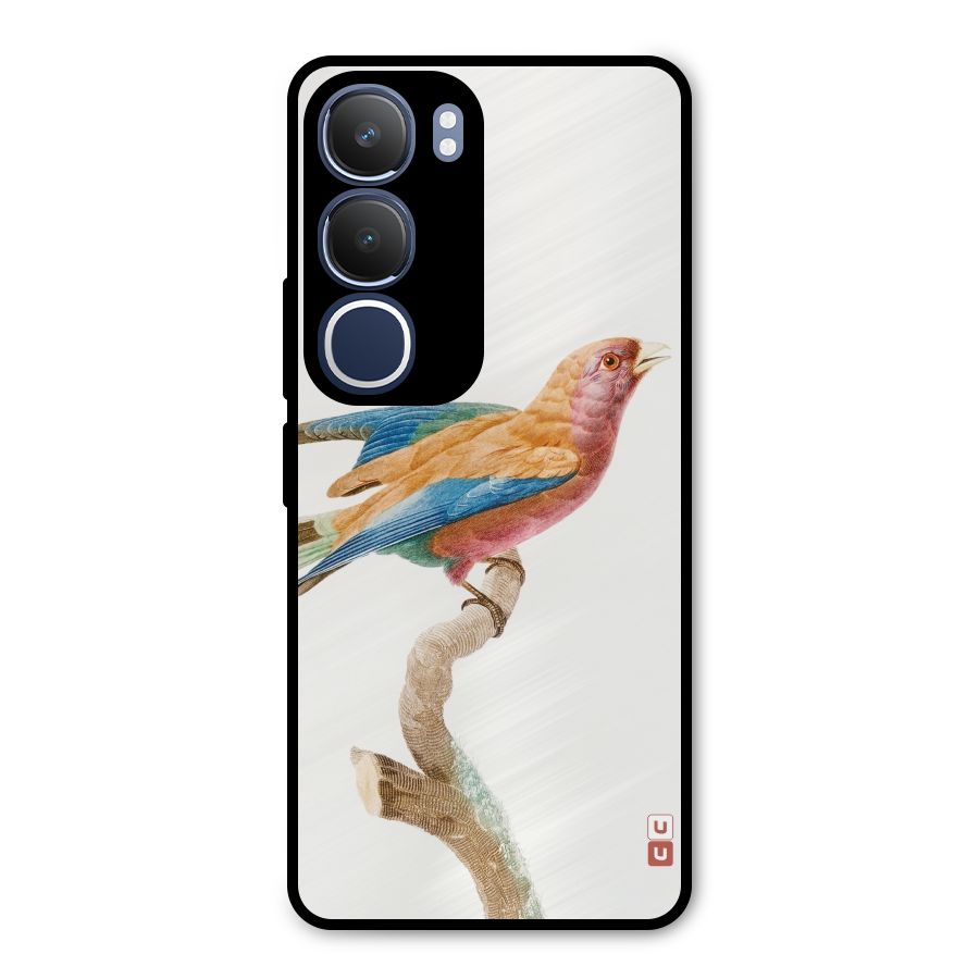 Beautiful Bird Metal Back Case for Vivo Y29