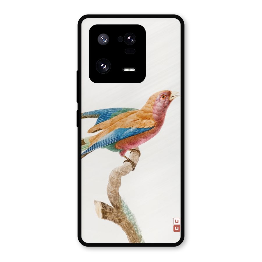 Beautiful Bird Metal Back Case for Xiaomi 13 Pro