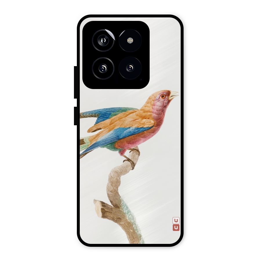 Beautiful Bird Metal Back Case for Xiaomi 14