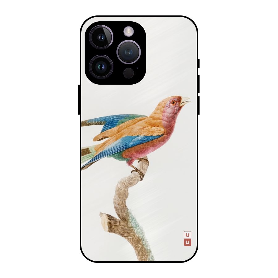 Beautiful Bird Metal Back Case for iPhone 14 Pro Max