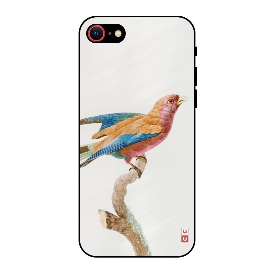 Beautiful Bird Metal Back Case for iPhone SE 2020