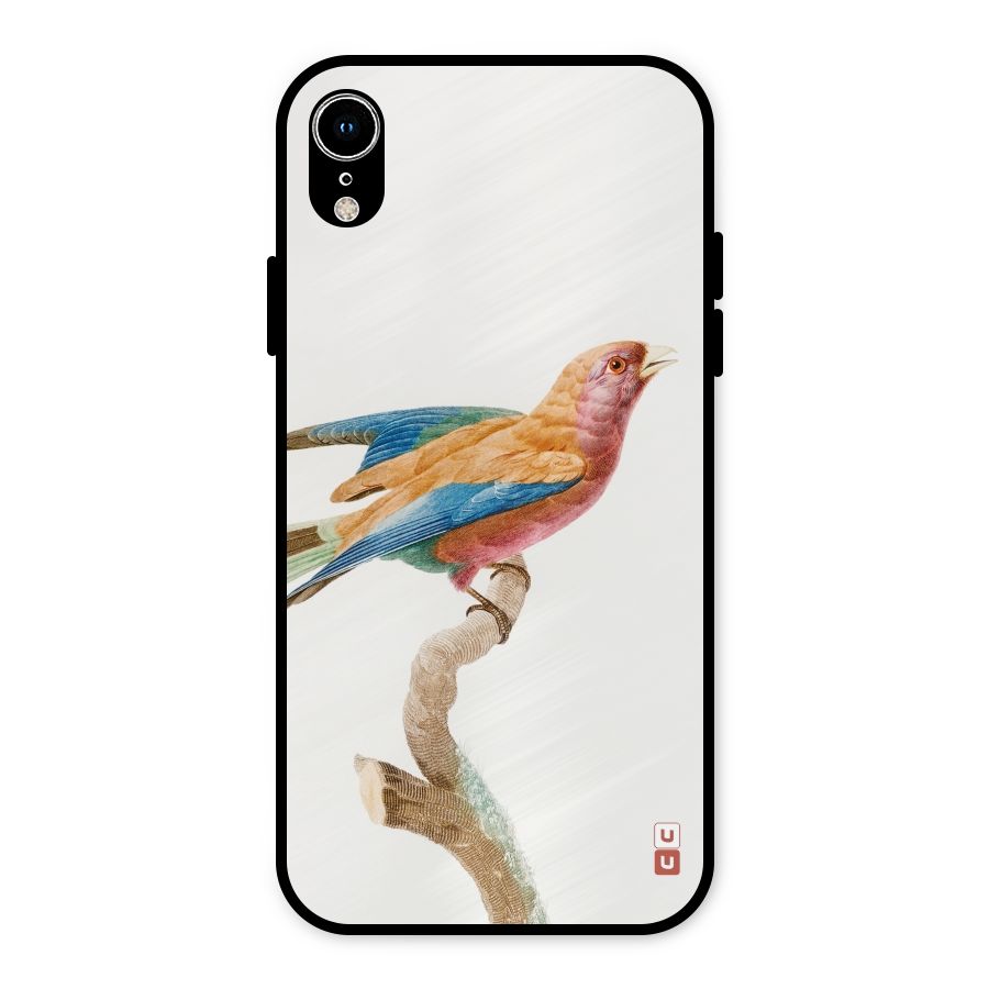 Beautiful Bird Metal Back Case for iPhone XR