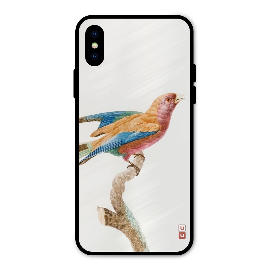 Beautiful Bird Metal Back Case for iPhone XS