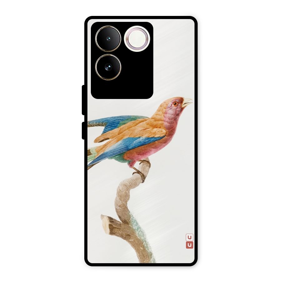 Beautiful Bird Metal Back Case for iQOO Z7 Pro