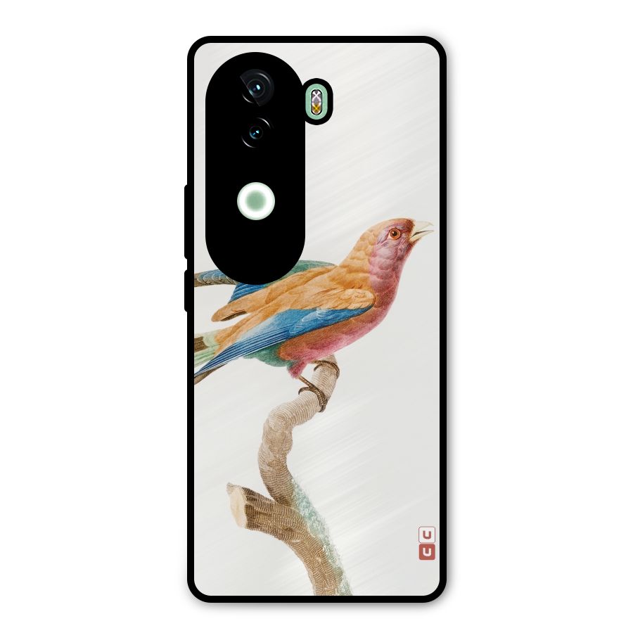 Beautiful Bird Metal Back Case for iQOO Z9s