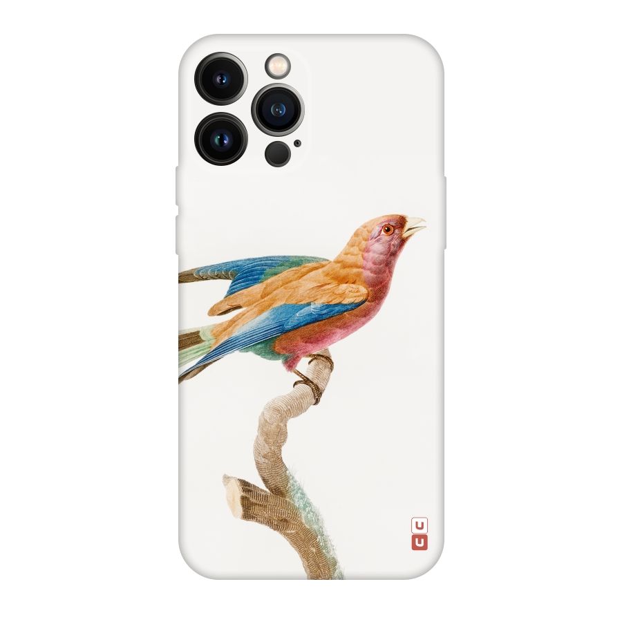 Beautiful Bird Original Polycarbonate Back Case for iPhone 13 Pro Max