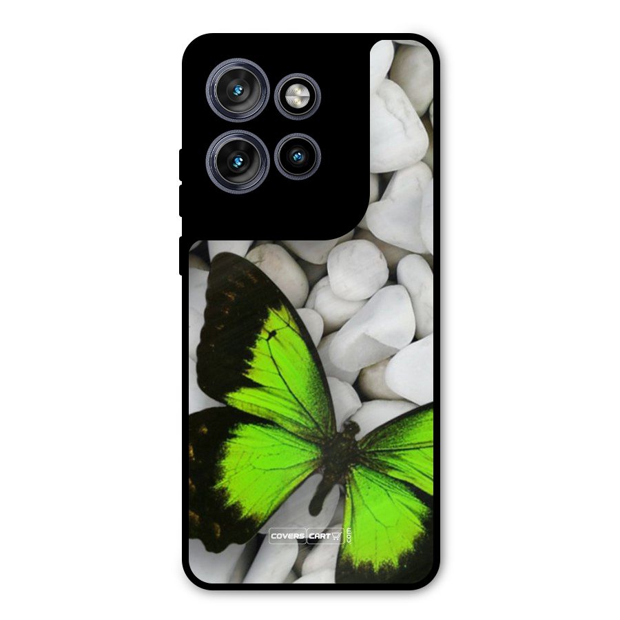 Beautiful Butterflies Metal Back Case for Motorola Edge 50 Neo