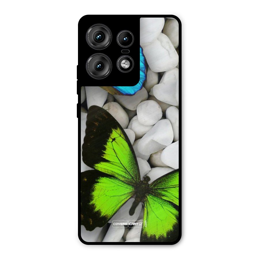 Beautiful Butterflies Metal Back Case for Motorola Edge 50 Pro