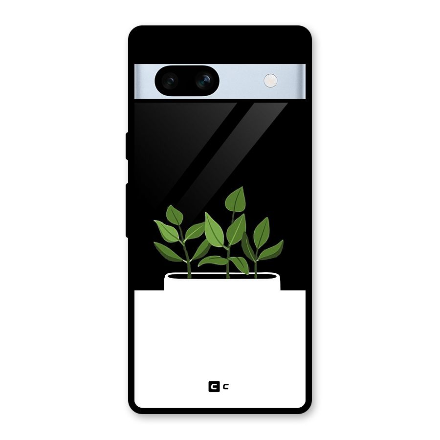 Beautiful Plant Pot Minimalistic Glass Back Case for Google Pixel 7a