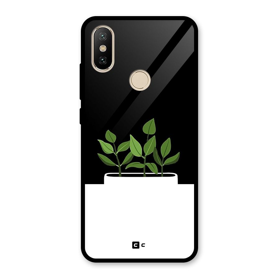 Beautiful Plant Pot Minimalistic Glass Back Case for Redmi A2