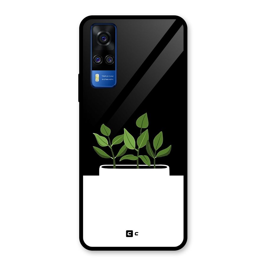 Beautiful Plant Pot Minimalistic Glass Back Case for Vivo Y31
