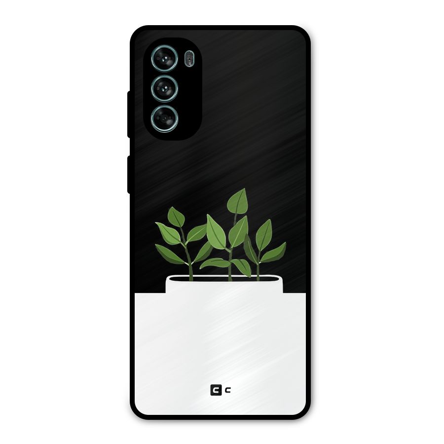 Beautiful Plant Pot Minimalistic Metal Back Case for Moto G62