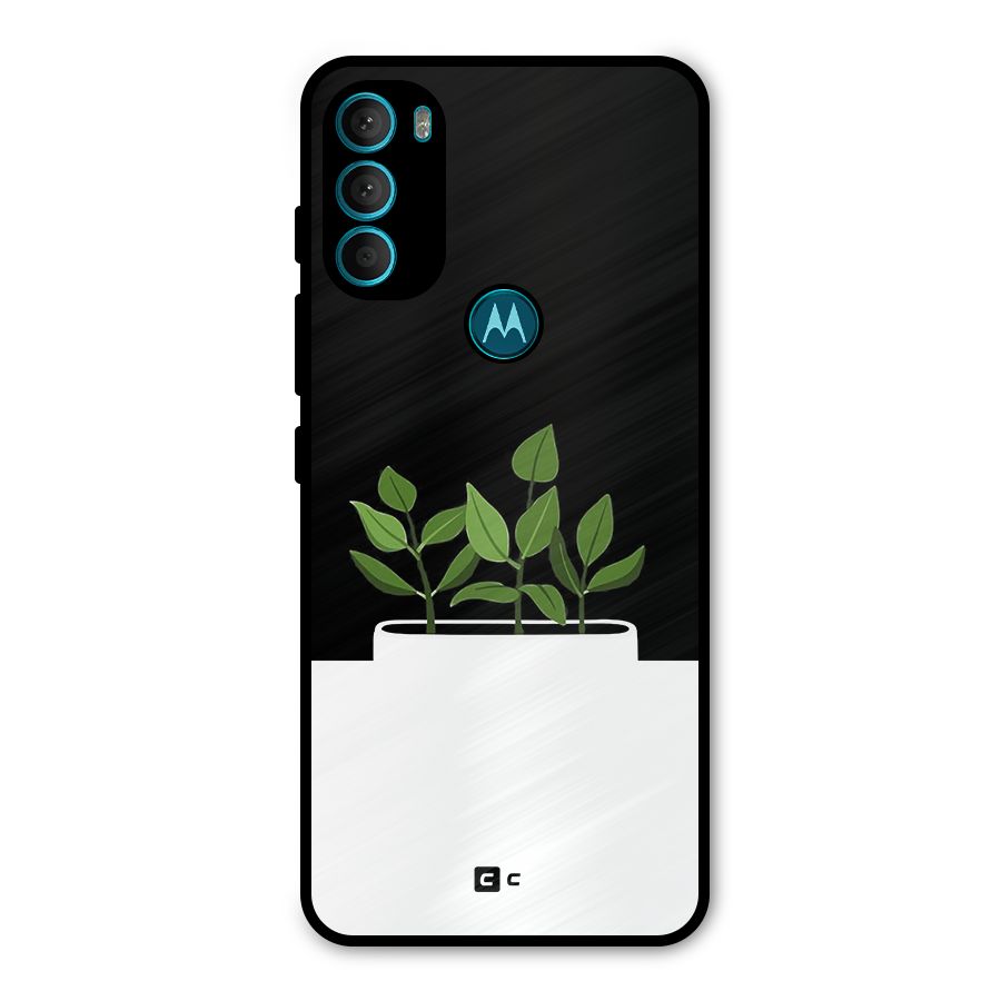 Beautiful Plant Pot Minimalistic Metal Back Case for Moto G71 5G