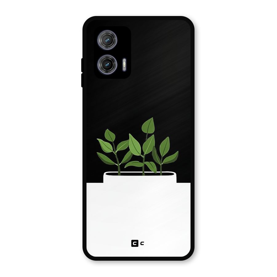 Beautiful Plant Pot Minimalistic Metal Back Case for Moto G73