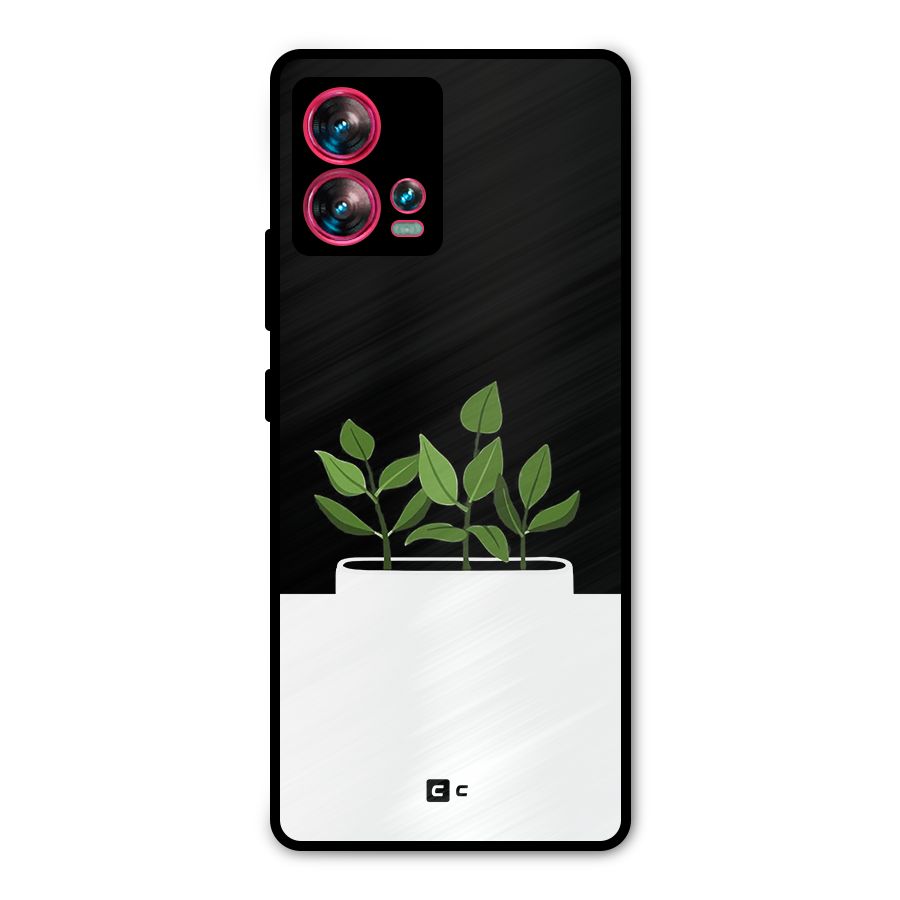Beautiful Plant Pot Minimalistic Metal Back Case for Motorola Edge 30 Fusion