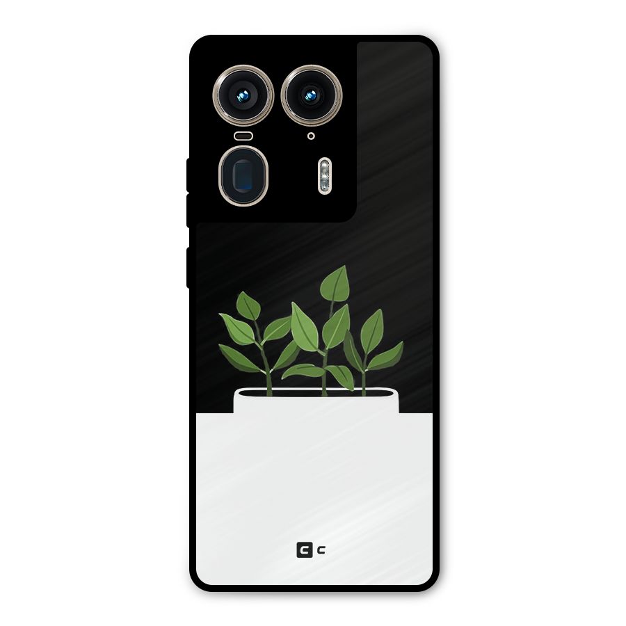 Beautiful Plant Pot Minimalistic Metal Back Case for Motorola Edge 50 Ultra
