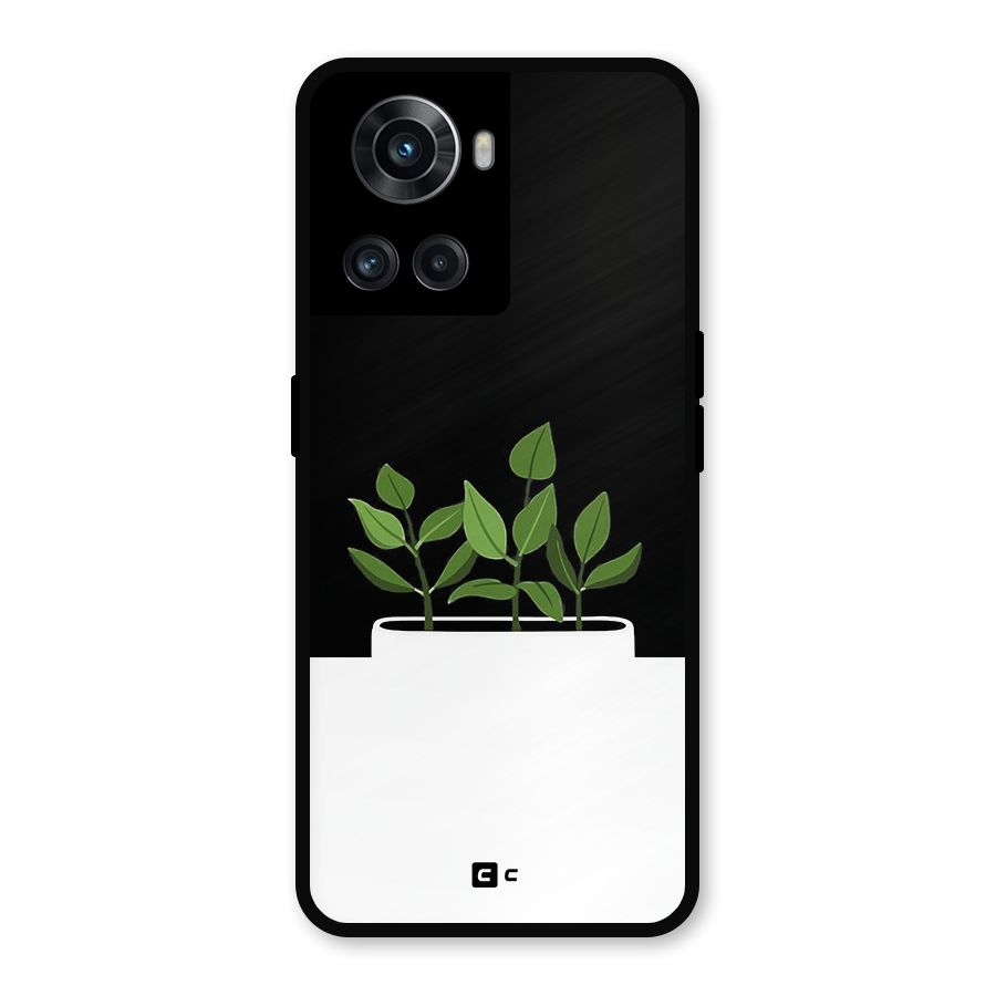 Beautiful Plant Pot Minimalistic Metal Back Case for OnePlus 10R