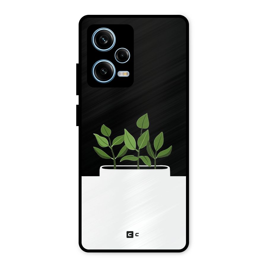 Beautiful Plant Pot Minimalistic Metal Back Case for Redmi Note 12 Pro