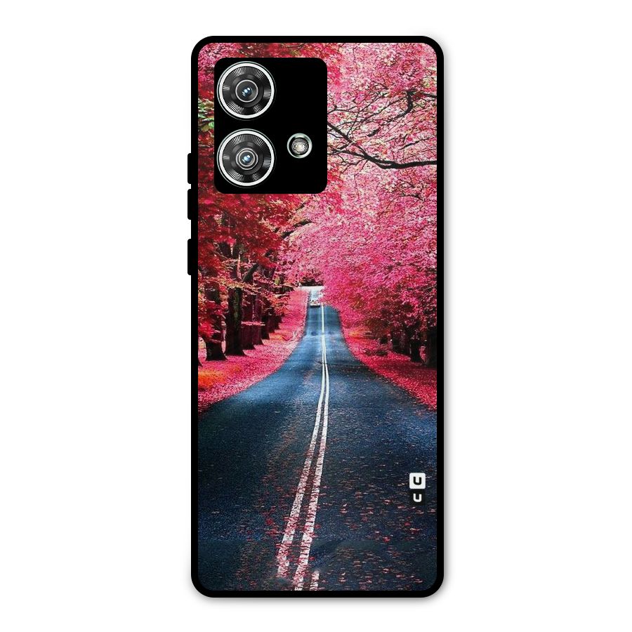 Beautiful Red Trees Metal Back Case for Motorola Edge 40 Neo