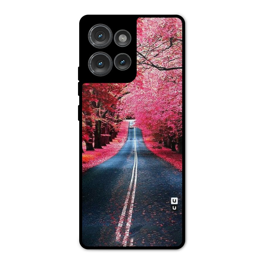 Beautiful Red Trees Metal Back Case for Motorola Edge 50