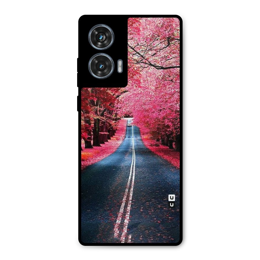 Beautiful Red Trees Metal Back Case for Motorola Edge 50 Fusion