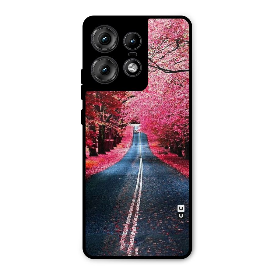 Beautiful Red Trees Metal Back Case for Motorola Edge 50 Pro