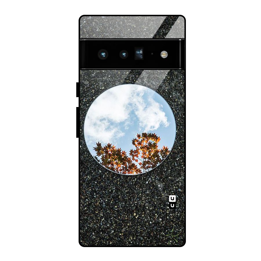 Beautiful Sky Leaves Glass Back Case for Google Pixel 6 Pro