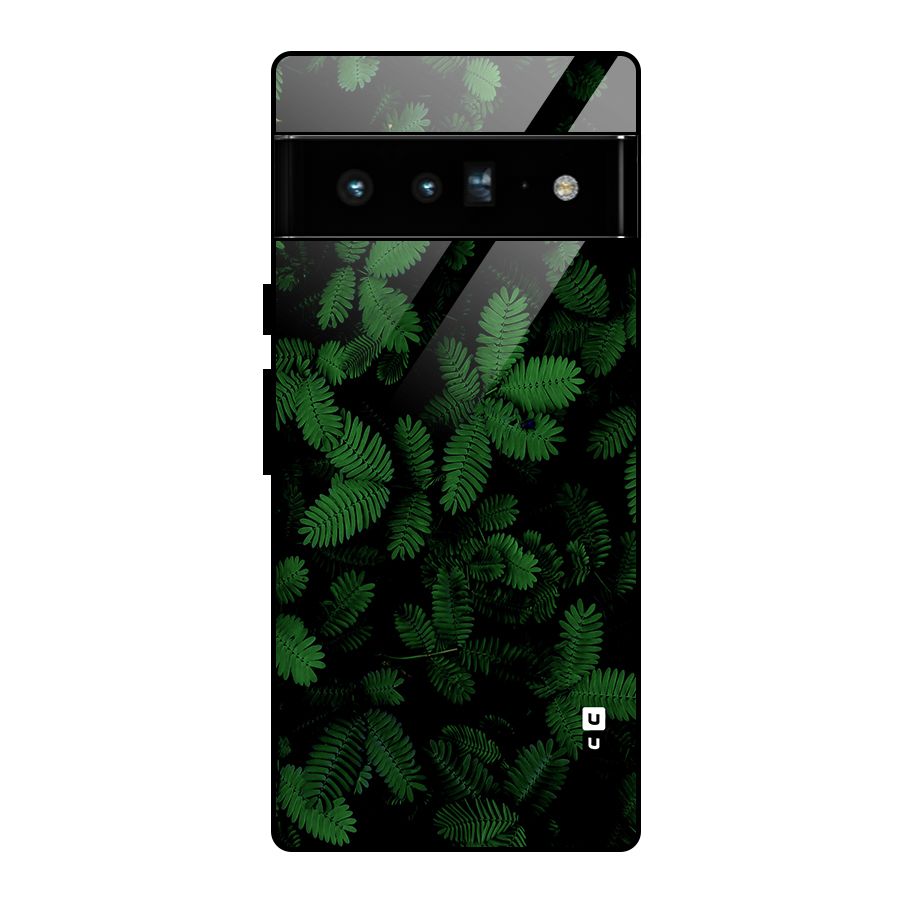 Beautiful Touch Me Not Glass Back Case for Google Pixel 6 Pro