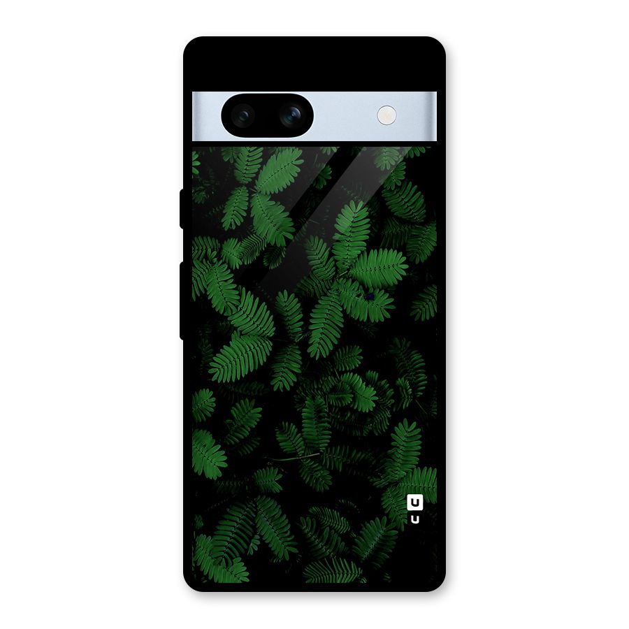 Beautiful Touch Me Not Glass Back Case for Google Pixel 7a