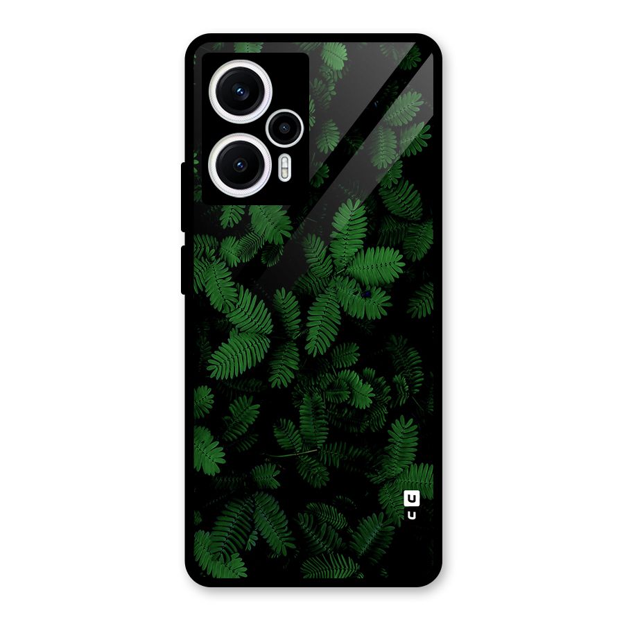 Beautiful Touch Me Not Glass Back Case for Poco F5