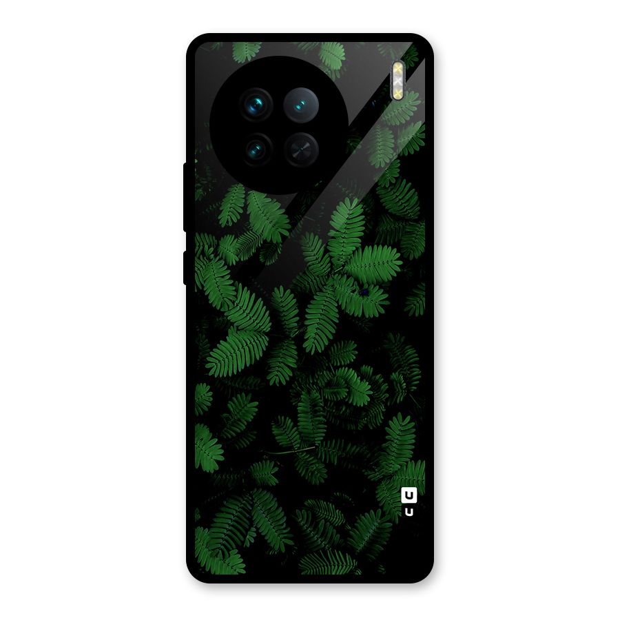 Beautiful Touch Me Not Glass Back Case for Vivo X90