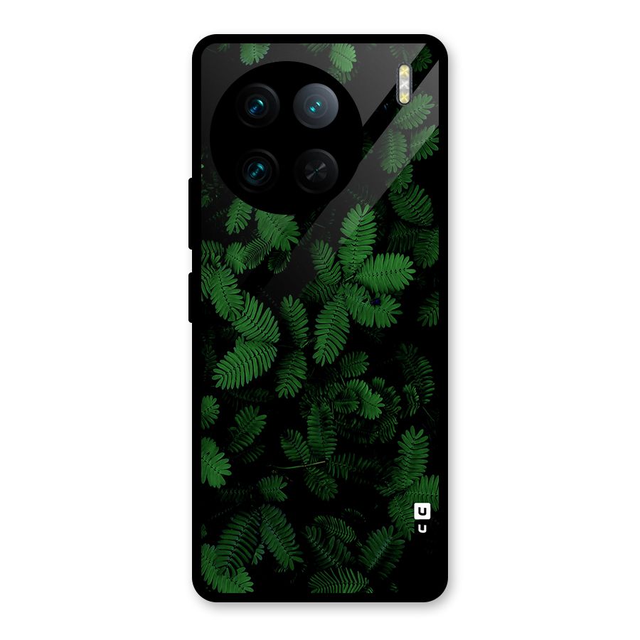 Beautiful Touch Me Not Glass Back Case for Vivo X90 Pro