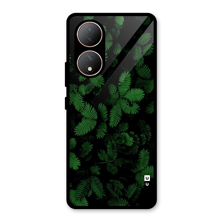 Beautiful Touch Me Not Glass Back Case for Vivo Y100A