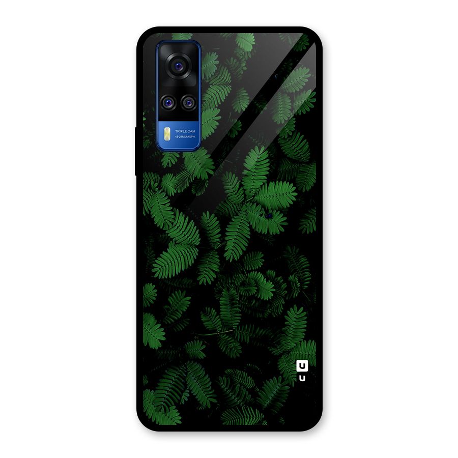 Beautiful Touch Me Not Glass Back Case for Vivo Y31