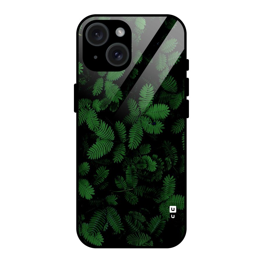 Beautiful Touch Me Not Glass Back Case for iPhone 15