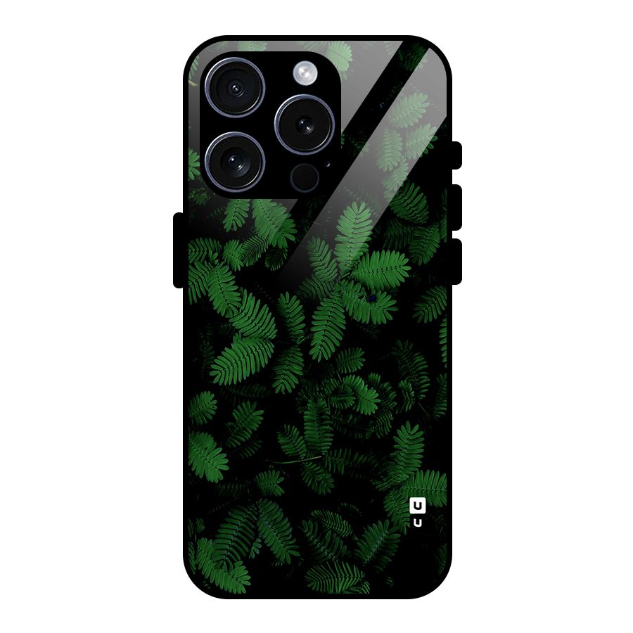 Beautiful Touch Me Not Glass Back Case for iPhone 15 Pro