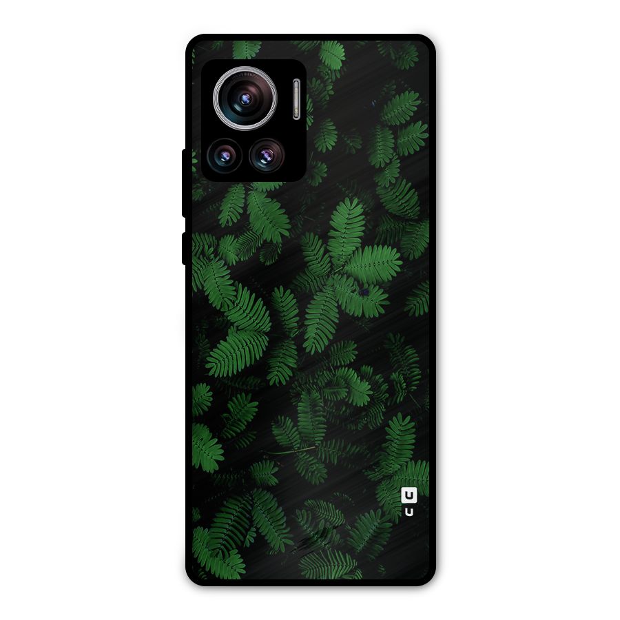Beautiful Touch Me Not Metal Back Case for Motorola Edge 30 Ultra
