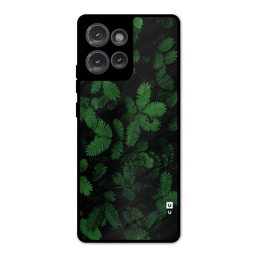 Beautiful Touch Me Not Metal Back Case for Motorola Edge 50