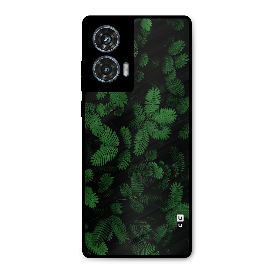 Beautiful Touch Me Not Metal Back Case for Motorola Edge 50 Fusion