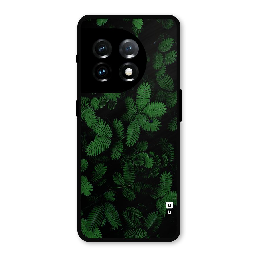 Beautiful Touch Me Not Metal Back Case for OnePlus 11