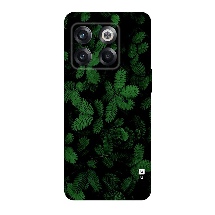Beautiful Touch Me Not Original Polycarbonate Back Case for OnePlus 10T