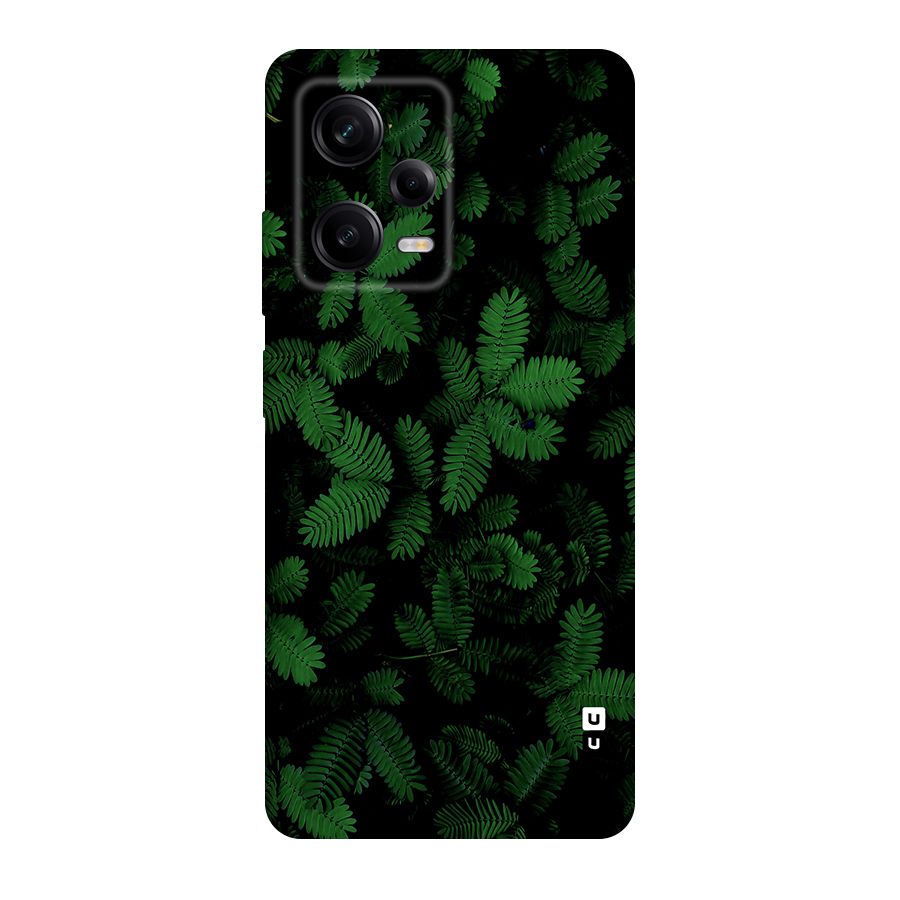 Beautiful Touch Me Not Original Polycarbonate Back Case for Redmi Note 12 Pro