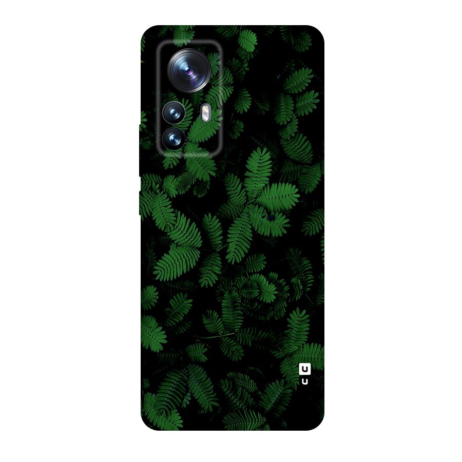 Beautiful Touch Me Not Original Polycarbonate Back Case for Xiaomi 12 Pro