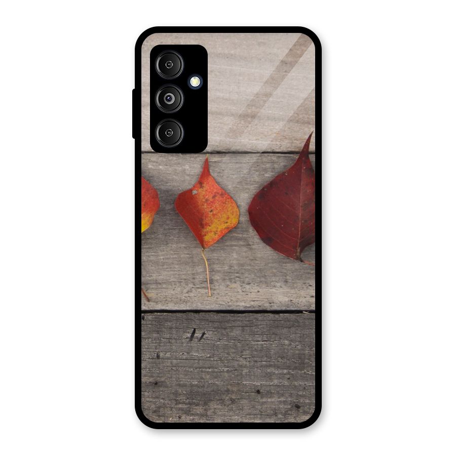 Beautiful Wood Leafs Glass Back Case for Galaxy M14 5G