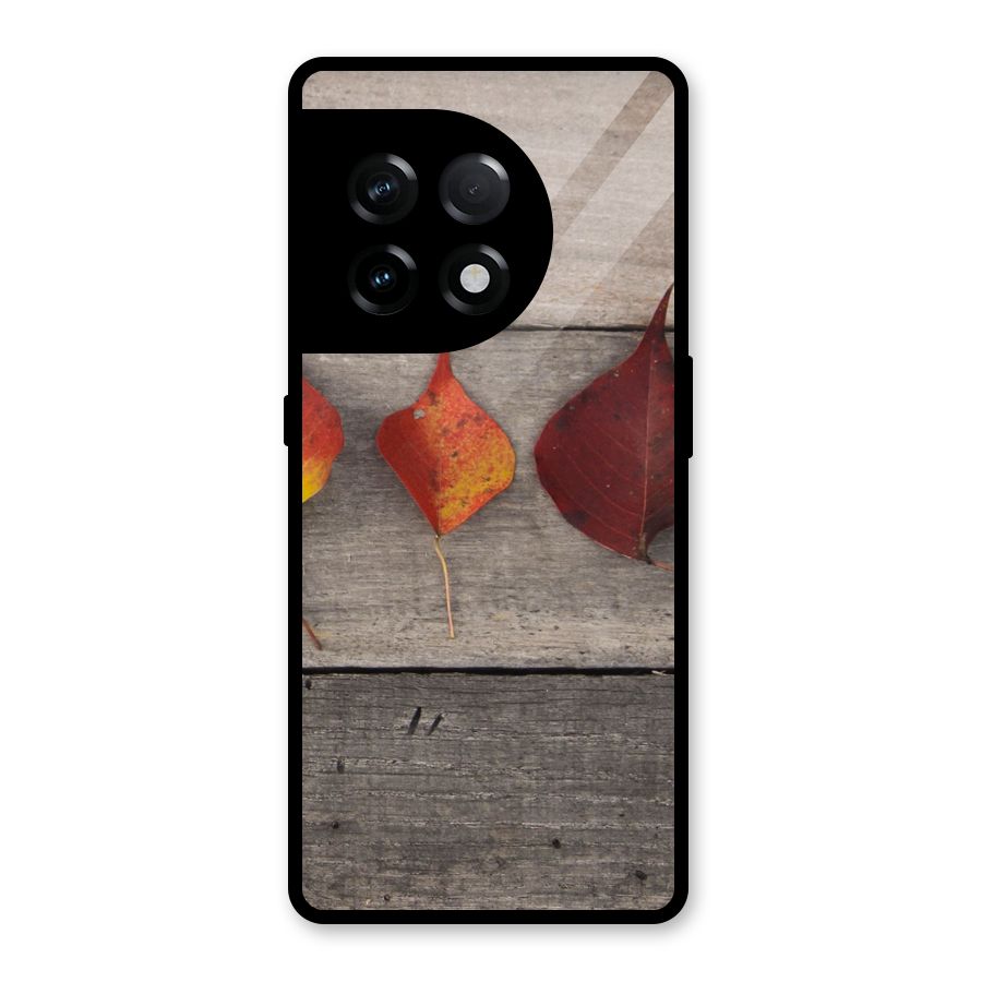 Beautiful Wood Leafs Glass Back Case for OnePlus 11R