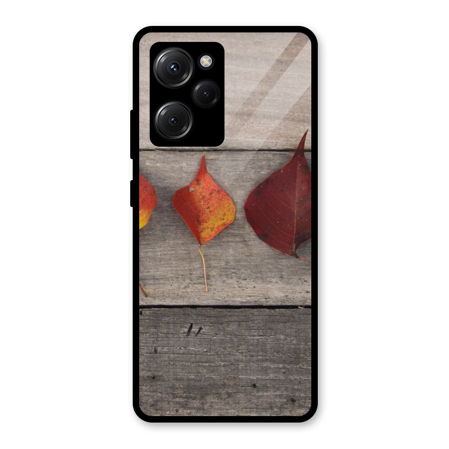 Beautiful Wood Leafs Glass Back Case for Poco X5 Pro