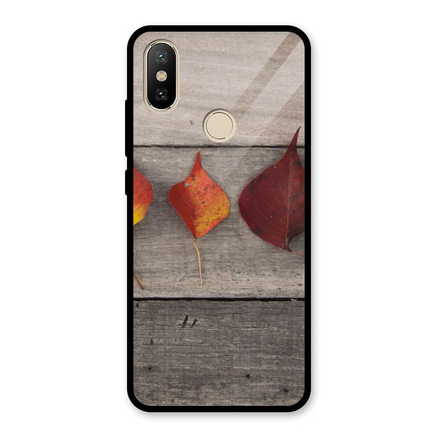 Beautiful Wood Leafs Glass Back Case for Redmi A2