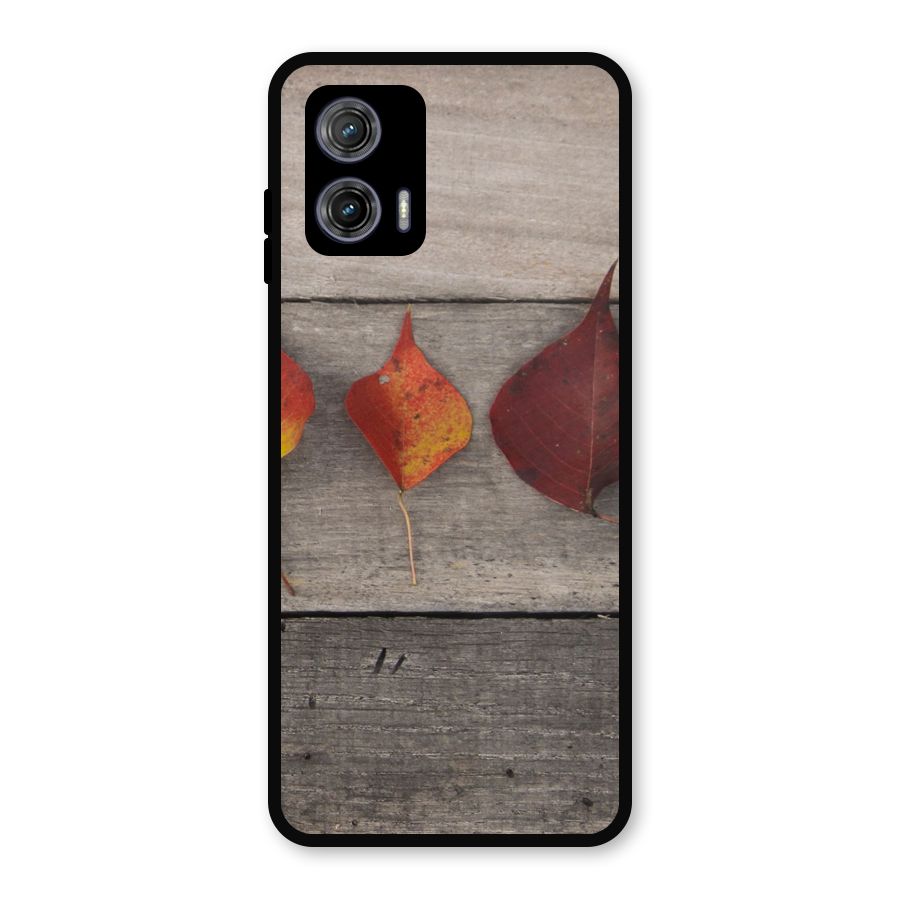 Beautiful Wood Leafs Metal Back Case for Moto G73