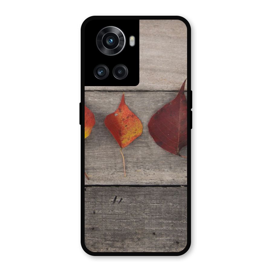 Beautiful Wood Leafs Metal Back Case for OnePlus 10R